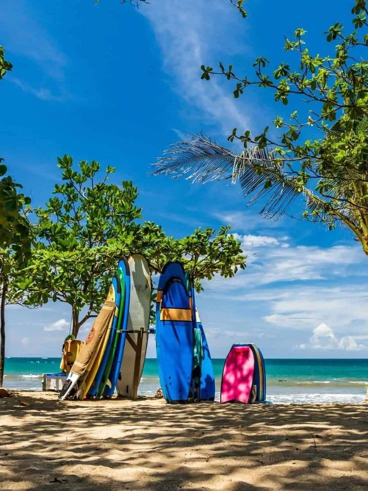 Kuta